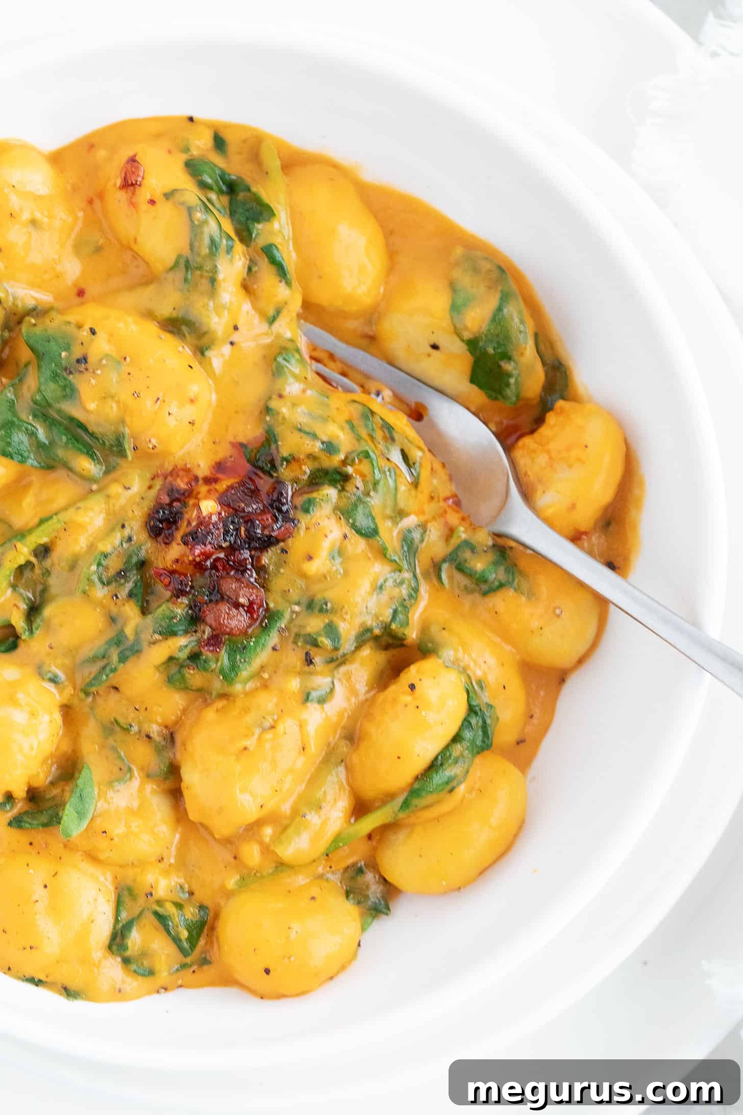 Gnocchi with butternut squash sauce in bowl.