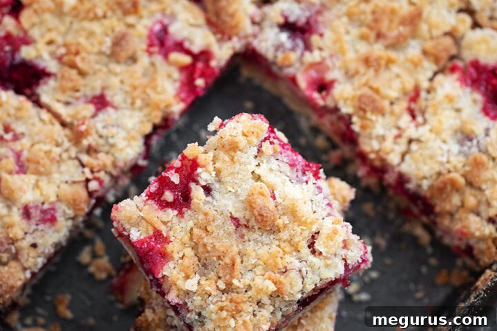 Close-up of baked cranberry crumb bars with a golden streusel topping and ruby filling.