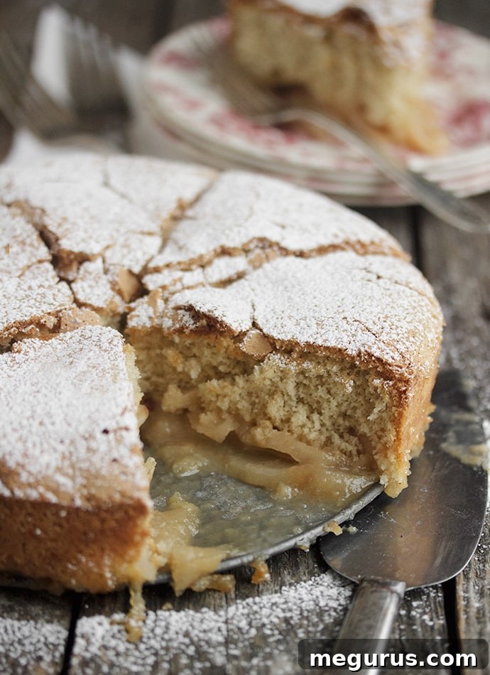 Warm slices of Caramel Apple Sharlotka ready to be served, dusted with confectioners' sugar.