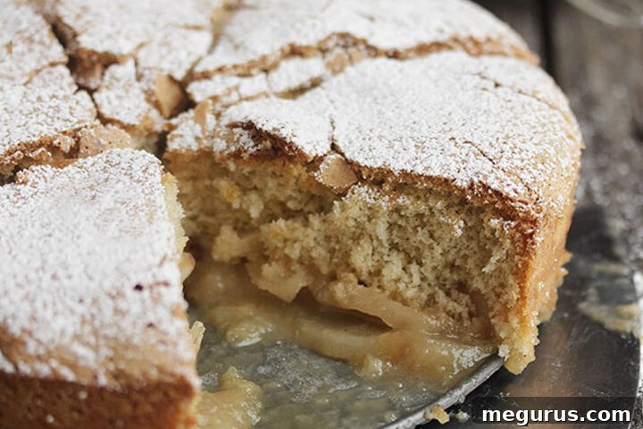 Caramel apple sharlotka sliced on a plate, showcasing its fluffy texture and apple chunks.