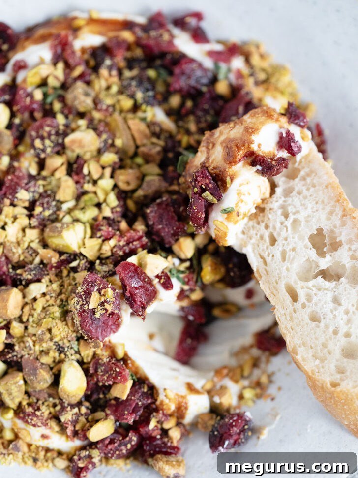 The final dish: whipped ricotta generously topped with chopped dried cranberries and pistachios, and a sprinkle of flaky salt.