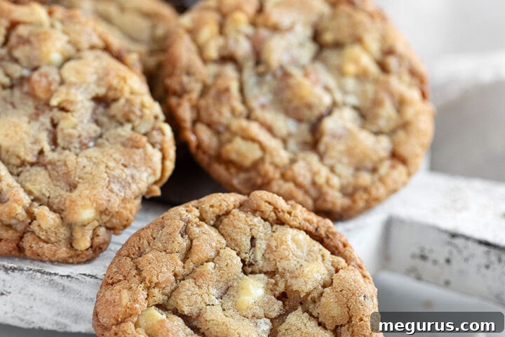 A stunning close-up of Toffee, Walnut, and White Chocolate Cookies, glistening with melted white chocolate and crunchy toffee, ready to be enjoyed.