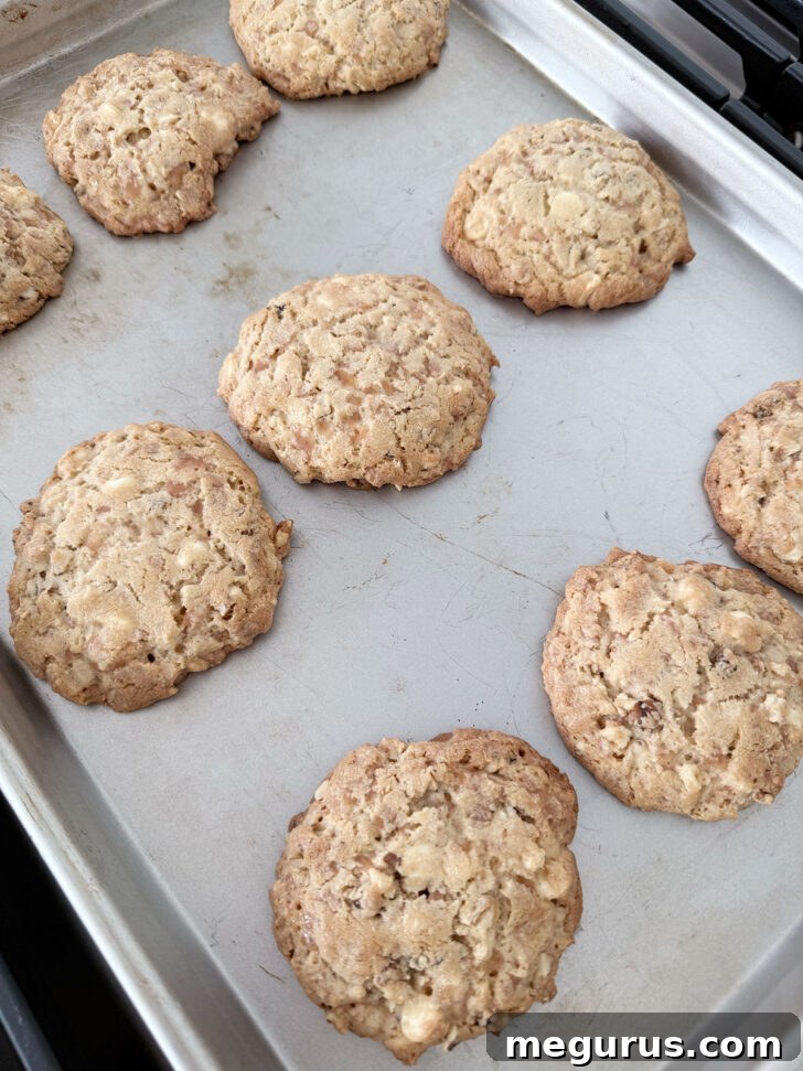 Freshly baked Toffee Walnut White Chocolate Cookies, golden and slightly puffed, cooling on a baking sheet.
