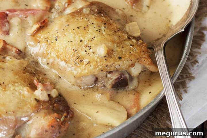 chicken thighs with apple and bacon in pan with spoon