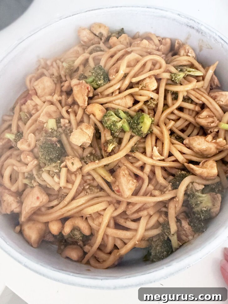 Finished chicken cashew udon stir fry in a skillet.