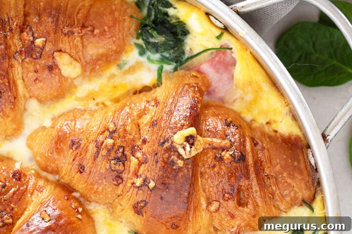 Golden brown ham and cheese croissant bake in a baking pan.
