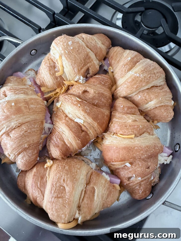 All six filled croissants arranged snugly in the baking pan.