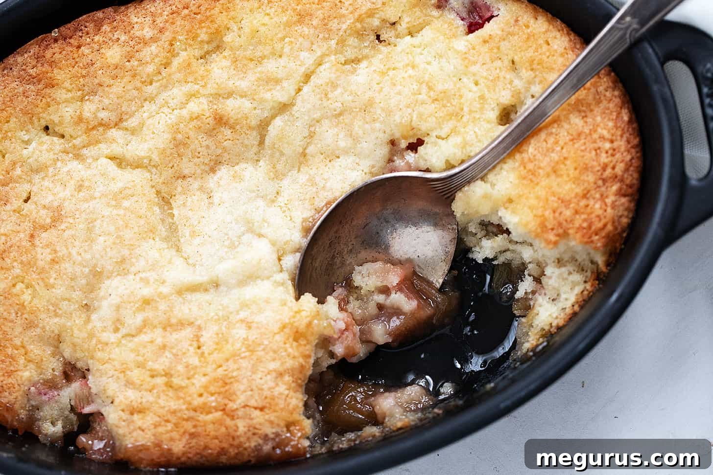 Warm rhubarb cobbler in a baking dish with a serving spoon, ready to be enjoyed.