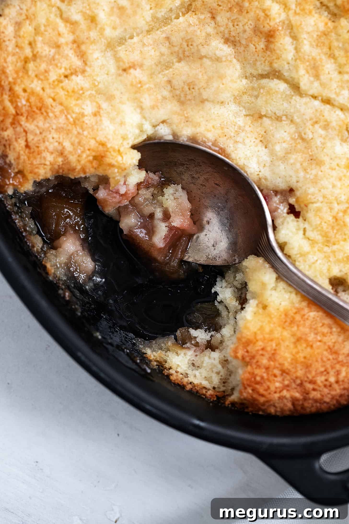 A close-up shot of baked rhubarb cobbler in a baking dish, showing the golden topping.
