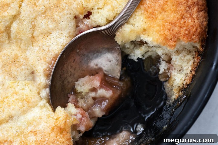 A delightful rhubarb cobbler in a baking dish, ready to be served.