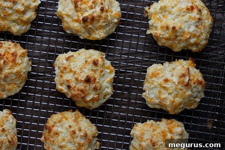 Apple cheddar biscuits on a cooling rack, golden and delicious.