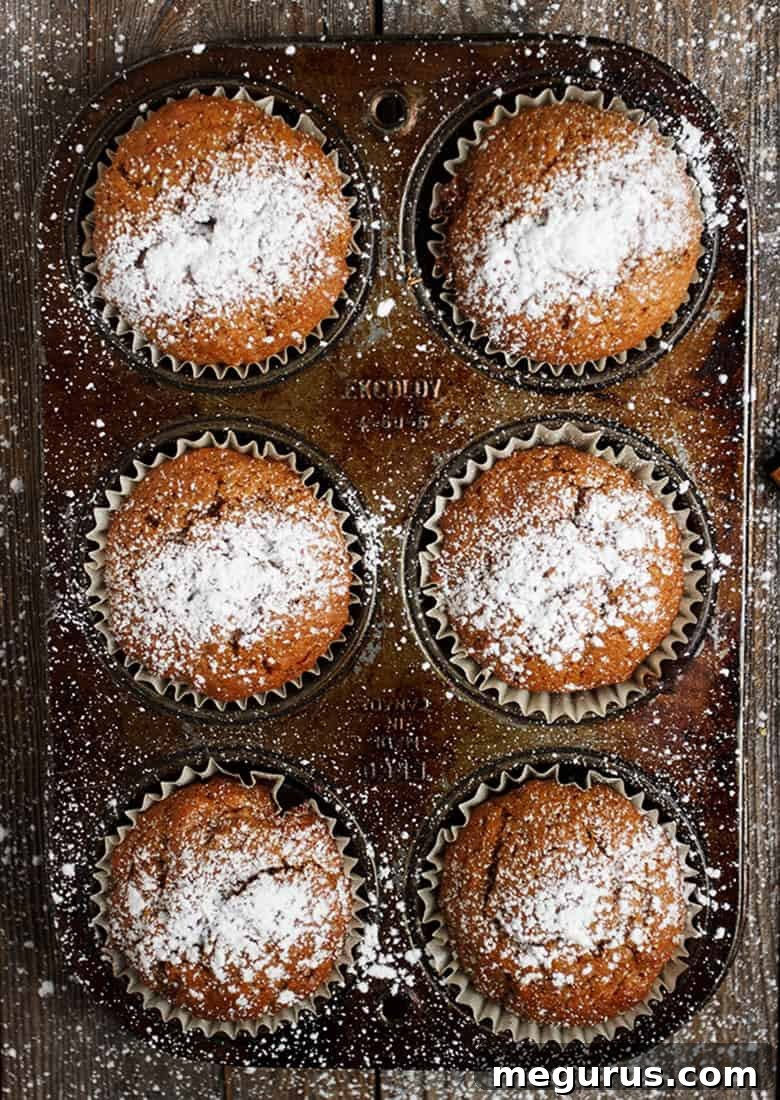 close-up of gingerbread muffins in a muffin tin, dusted with powdered sugar