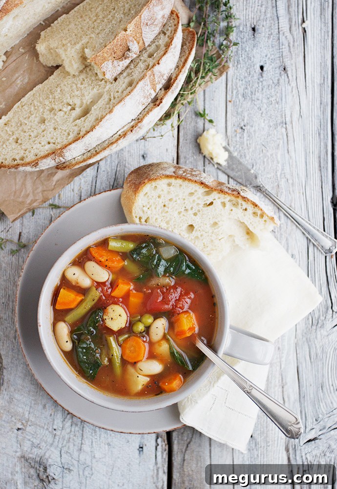 Close-up of hearty Provencal Style Winter Vegetable Soup with fresh herbs