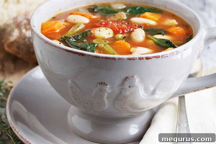 provencal vegetable soup in soup bowl