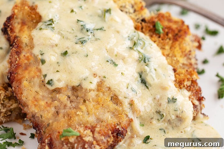 Oven-baked panko breaded pork chops on plate with mustard sauce.