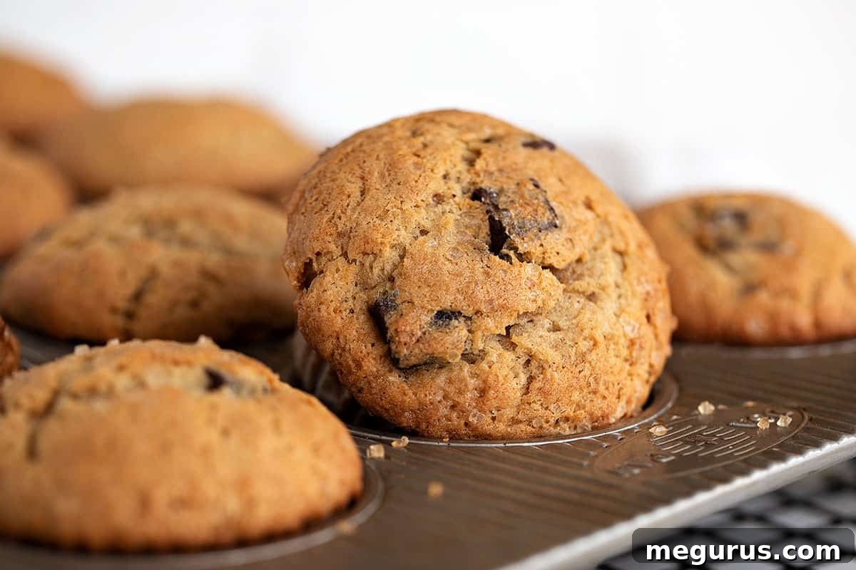 Delicious Chunky Monkey Muffins in a baking tin, showcasing their golden tops and rich ingredients.