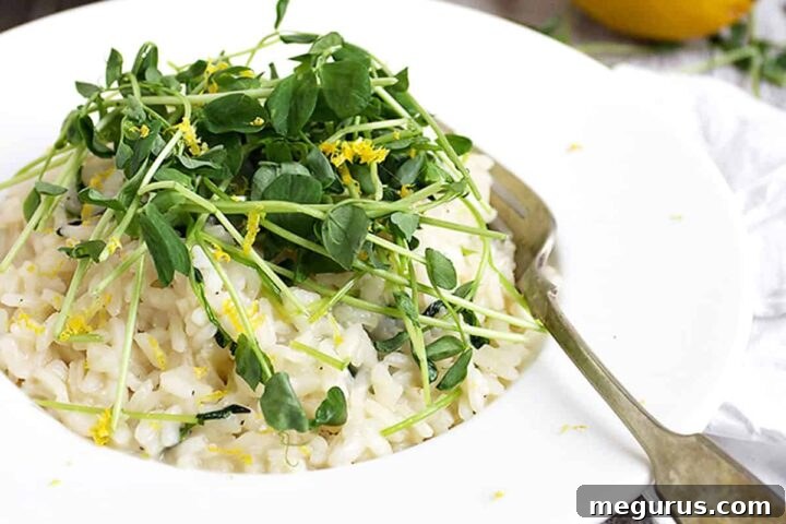 lemon risotto with peach shoots on top in white bowl with fork