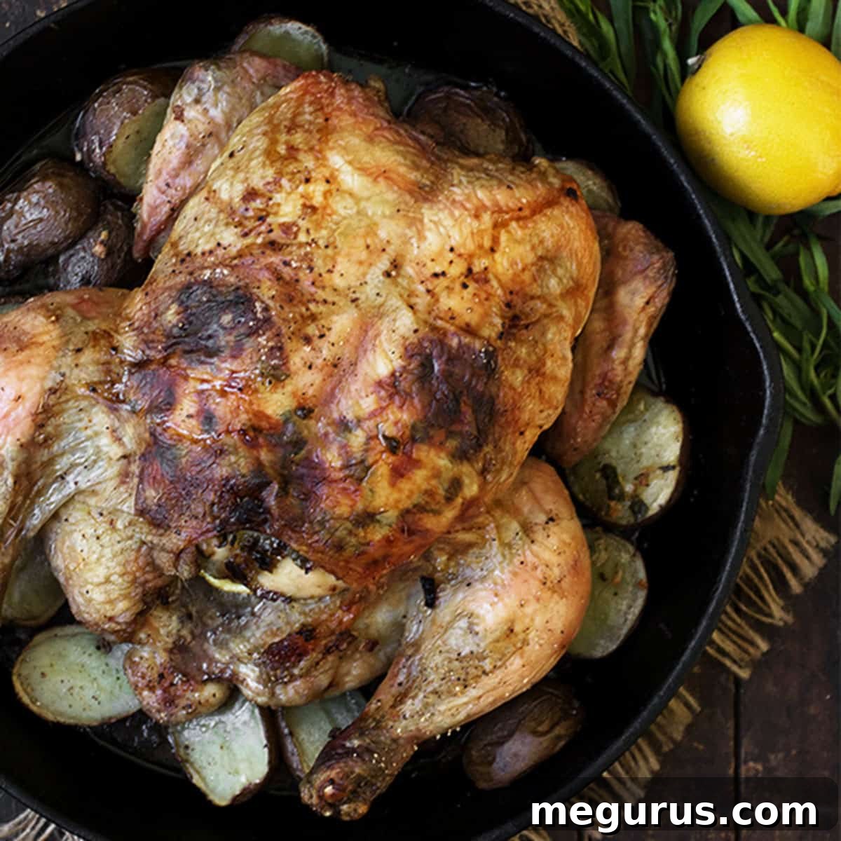 tarragon lemon roasted whole chicken in skillet