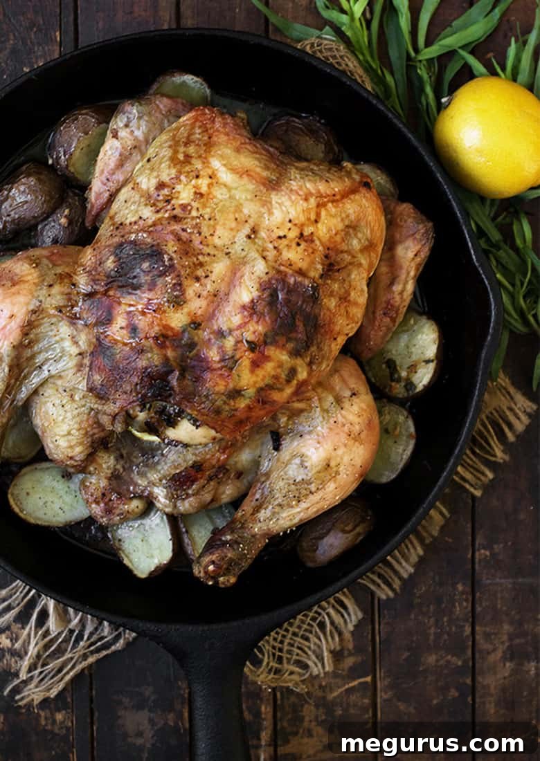tarragon lemon roasted whole chicken in skillet