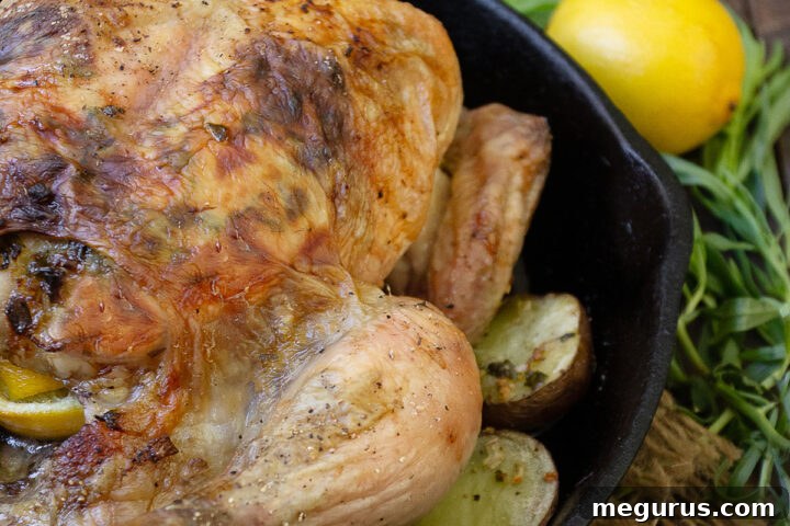 tarragon and lemon roasted whole chicken in skillet