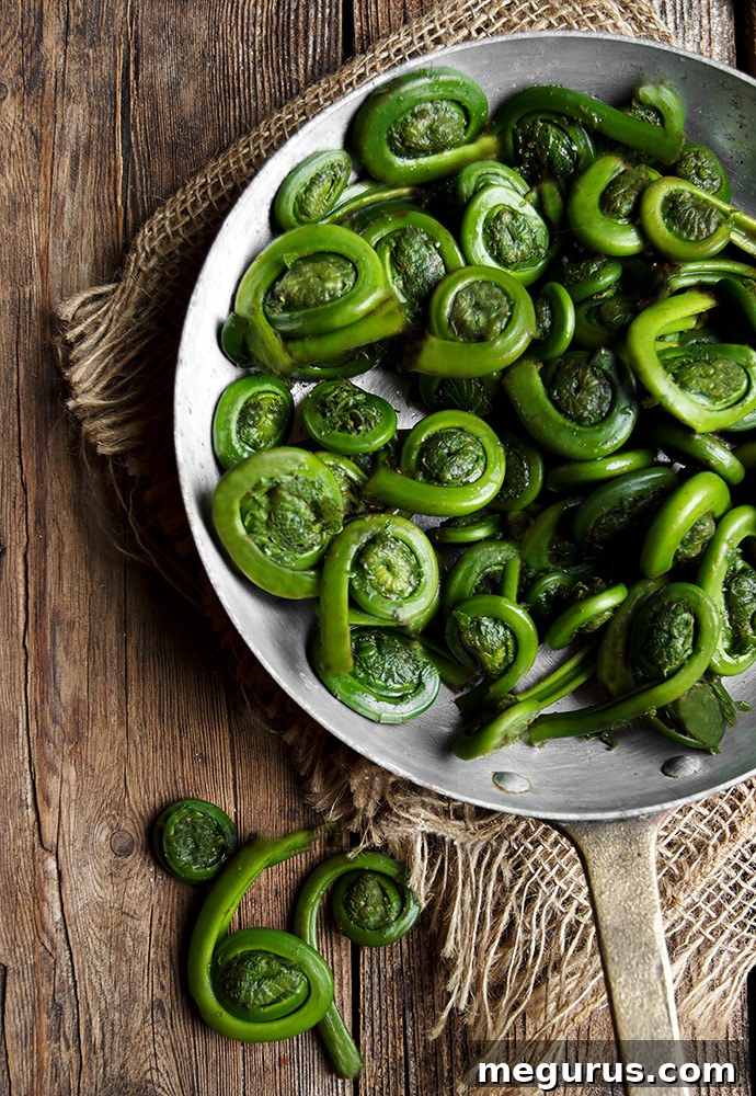 Freshly cleaned and trimmed fiddleheads ready for cooking.