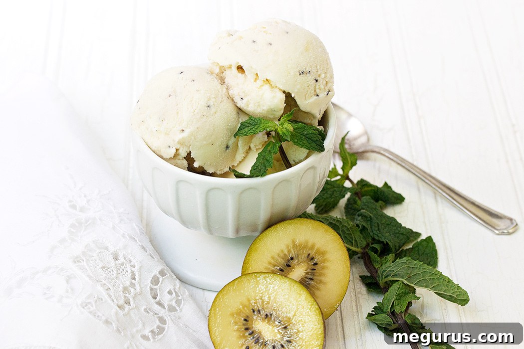 Homemade Kiwi Ice Cream - main image