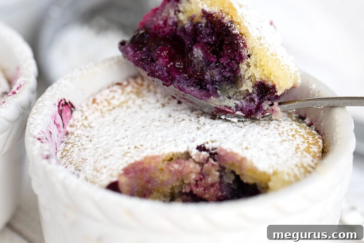 Delicious blueberry pudding cake in ramekins with a spoon, highlighting the contrasting textures and vibrant colors.