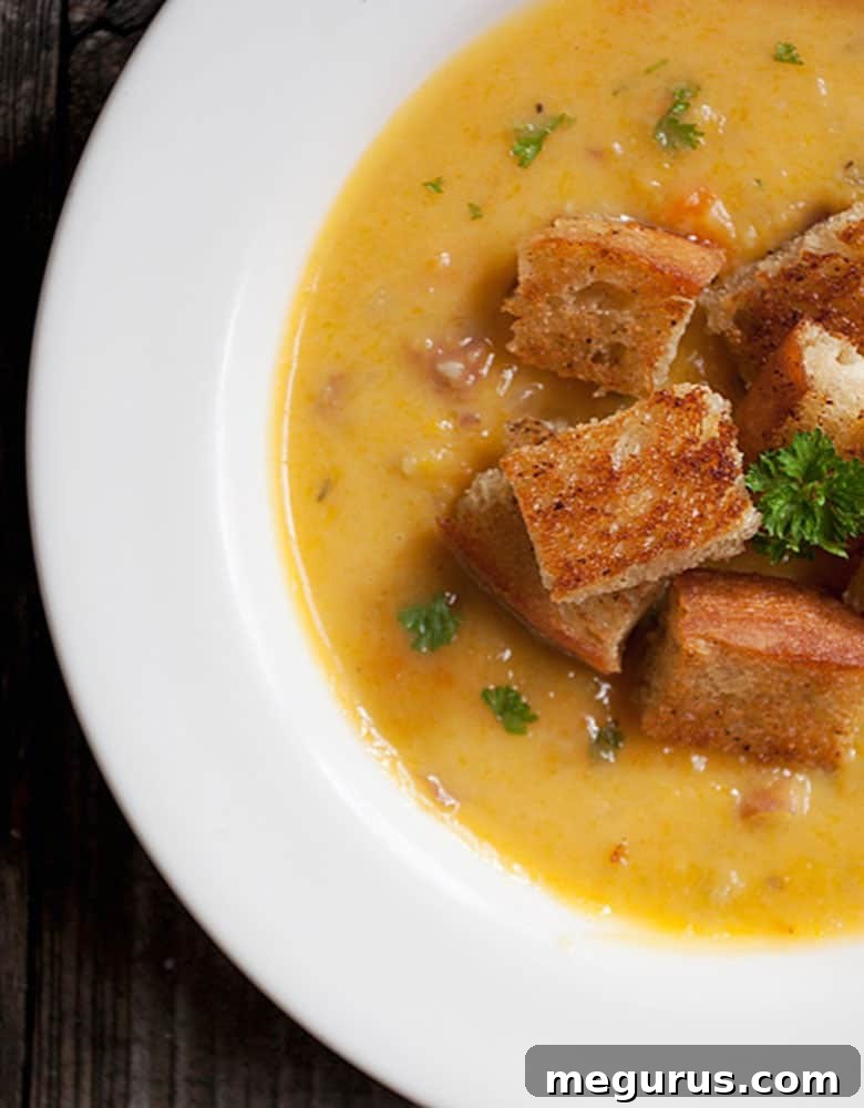 Butternut squash chowder with a rustic, warm presentation