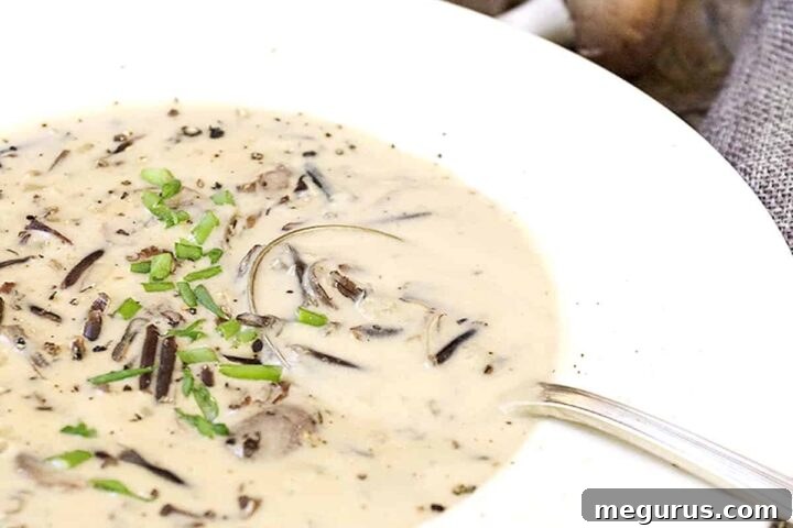 A beautifully plated bowl of creamy wild rice and mushroom soup, garnished with fresh chives.