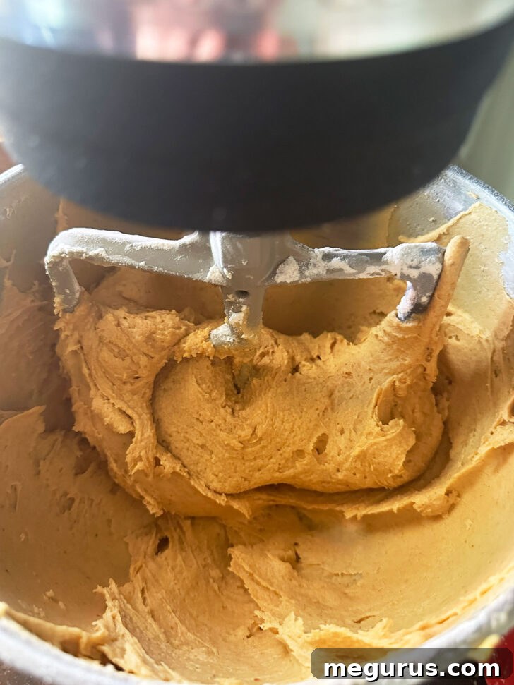 finished light and fluffy cookie dough in mixer