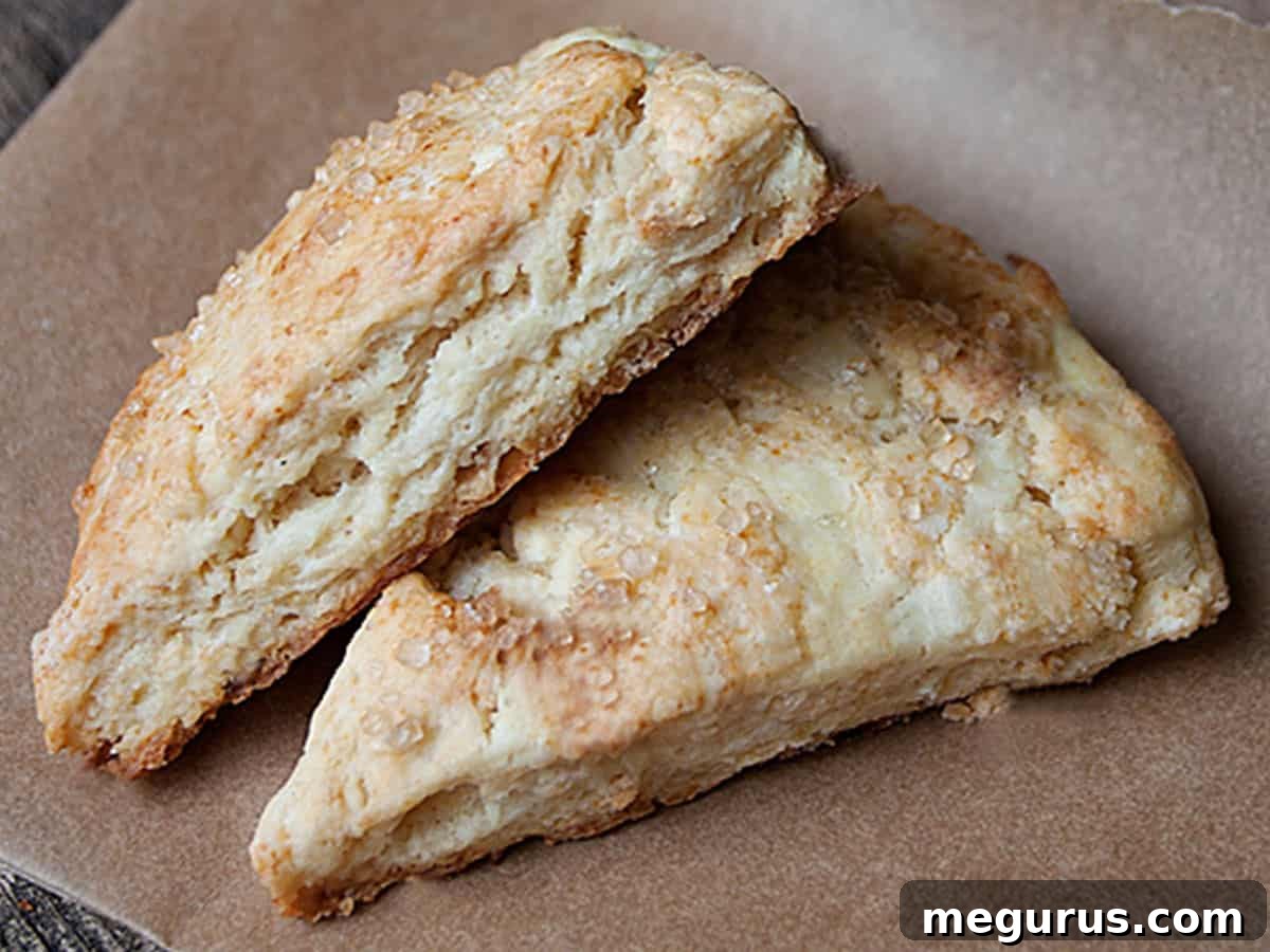Delicious dried apple scones arranged on parchment paper, ready to be enjoyed.