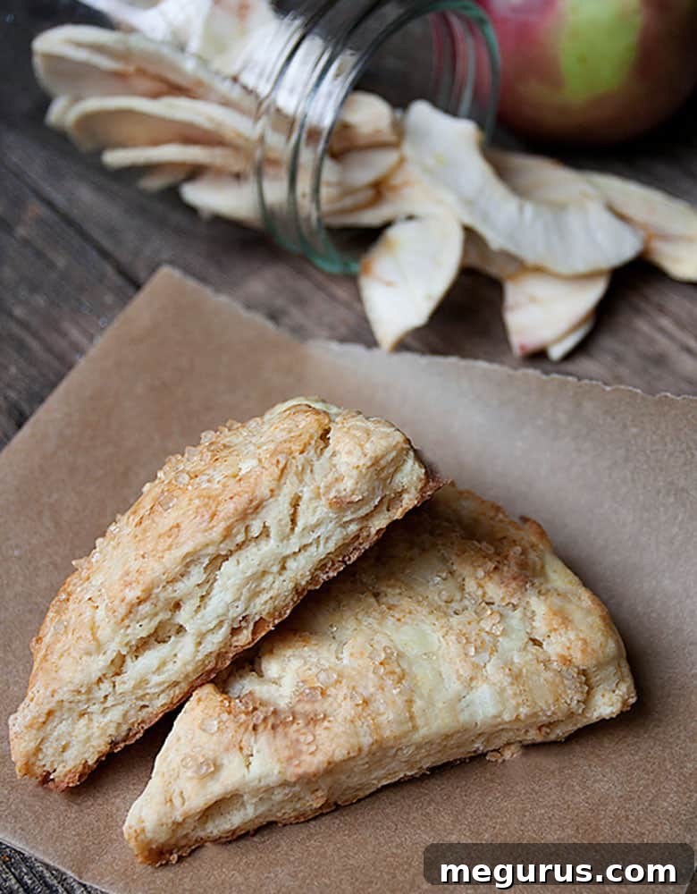 Close-up of baked dried apple scones on parchment paper, showing their golden-brown tops and moist texture.