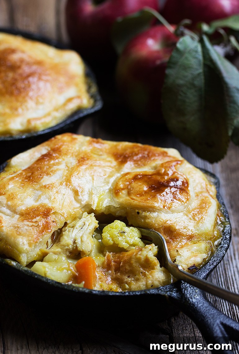 Delicious Turkey Apple Curry Pot Pie