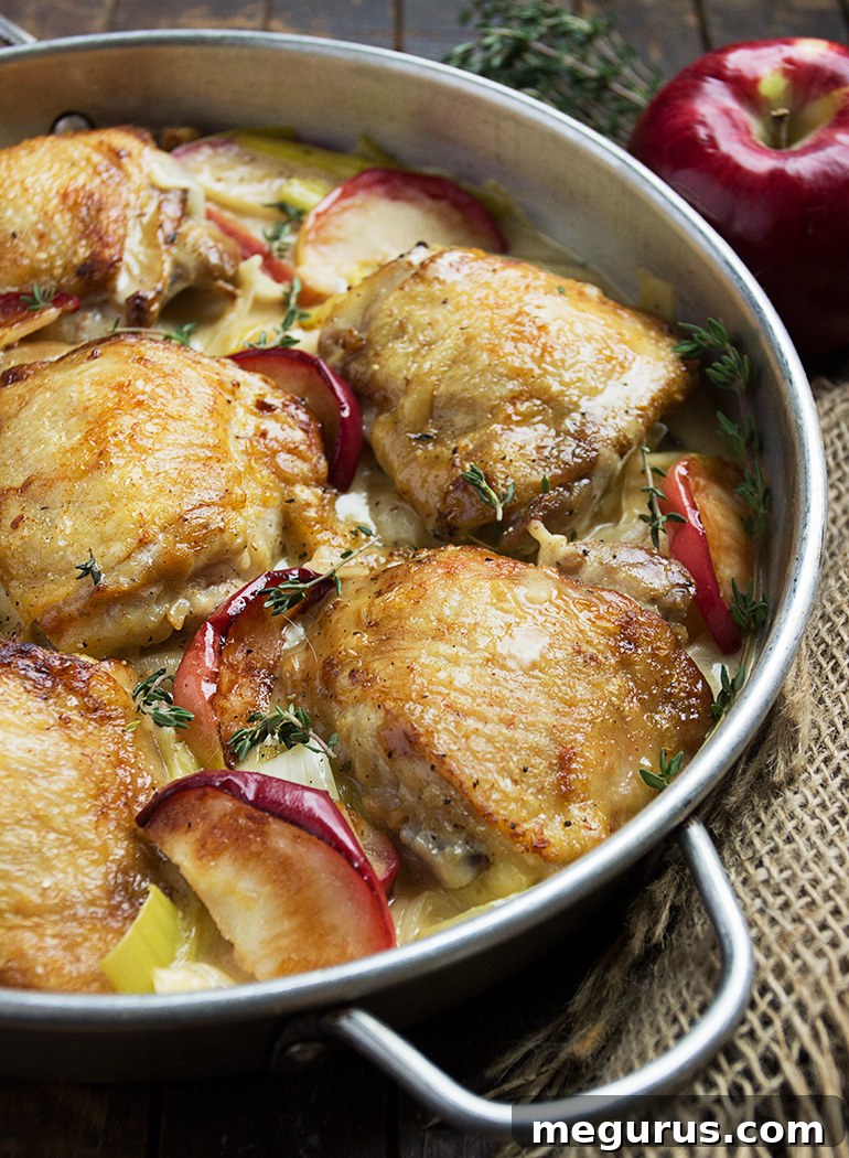 Close-up of a delicious Chicken with Leek and Apples dinner