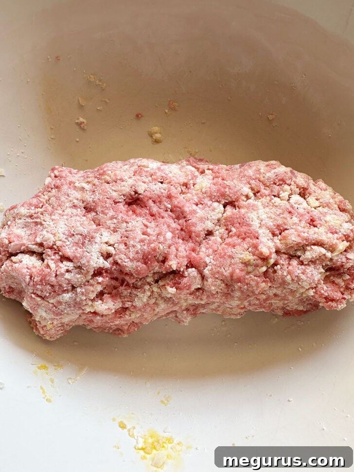 meatball ingredients after mixing together