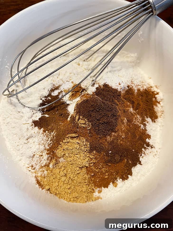 Dry ingredients in a bowl with a whisk, ready to be combined for gingerbread biscotti.