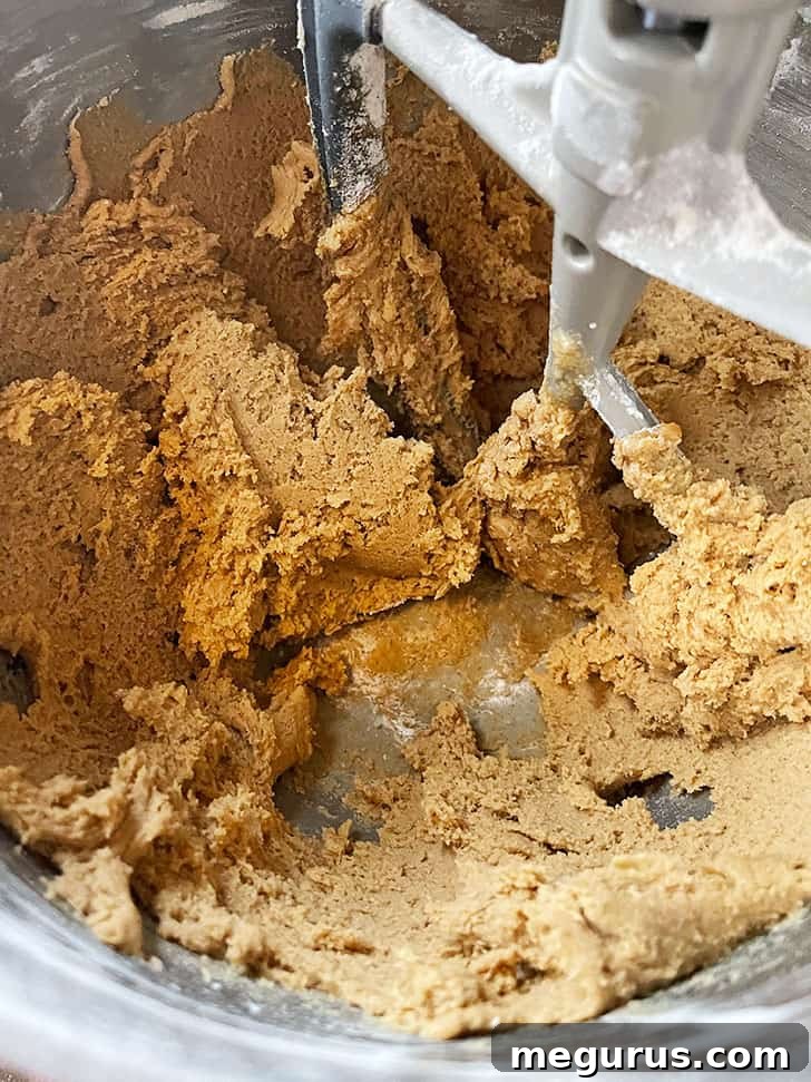 Gingerbread biscotti batter after mixing, showing a thick, cohesive consistency.
