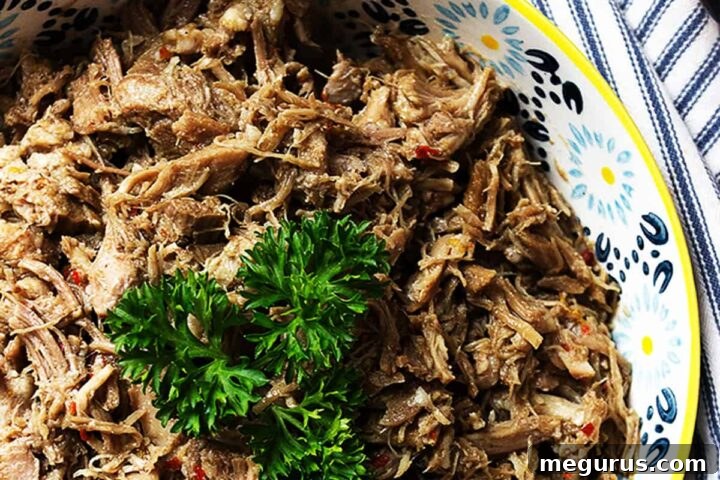 Slow Cooked Pork Carnitas in a rustic bowl with cilantro and lime, ready for serving.