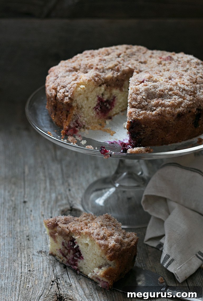 Very Berry Raspberry Blackberry Crumb Cake