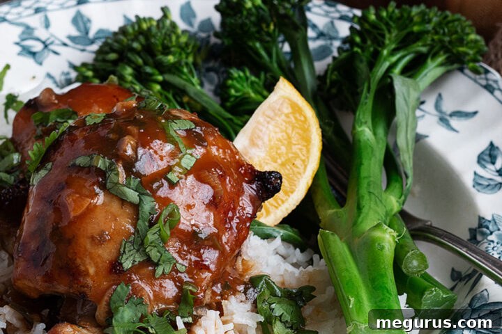 Citrus marinated chicken thighs on a plate with rice and broccolini, ready to be served.