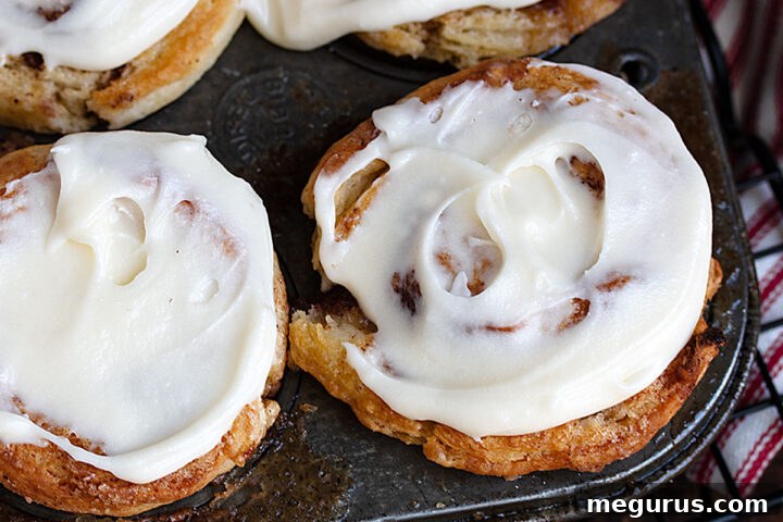 Cinnamon roll biscuits in muffin tin, ready to be served with frosting.