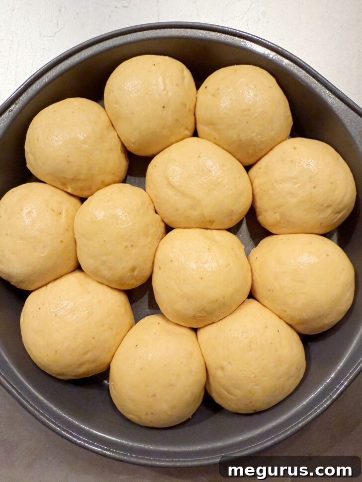 Rolls in a baking pan after the second proof, having doubled in size.