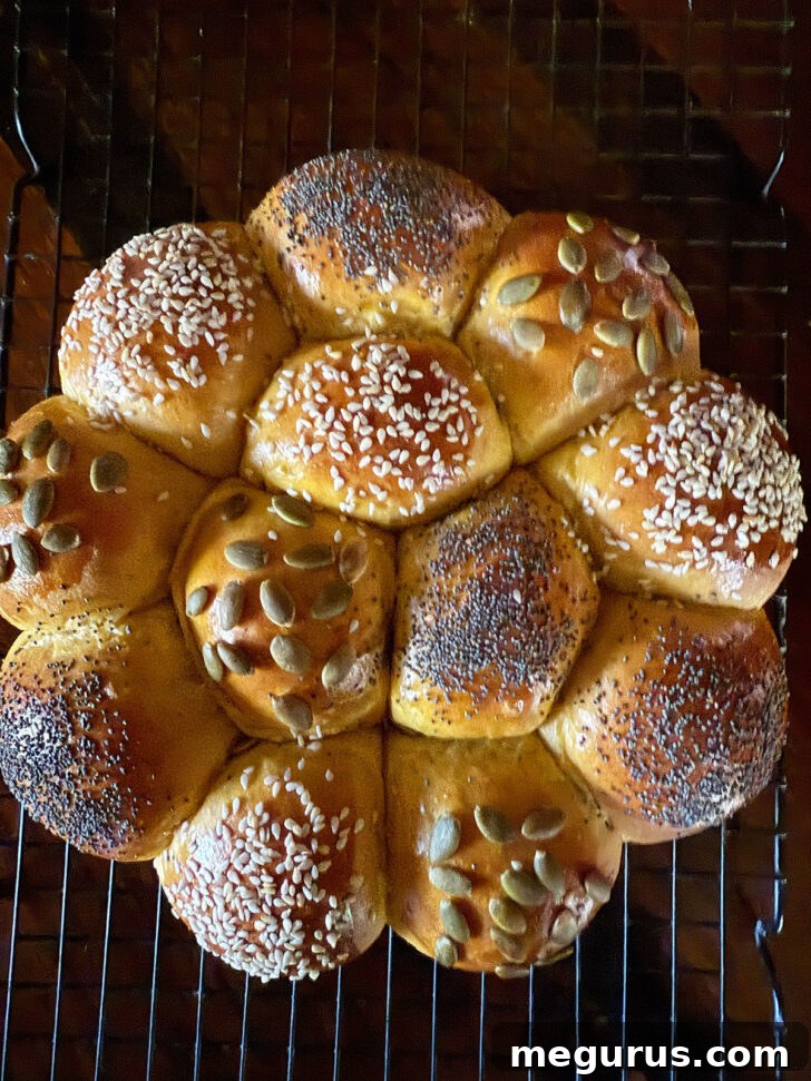 Baked, golden brown pumpkin dinner rolls removed from the oven.