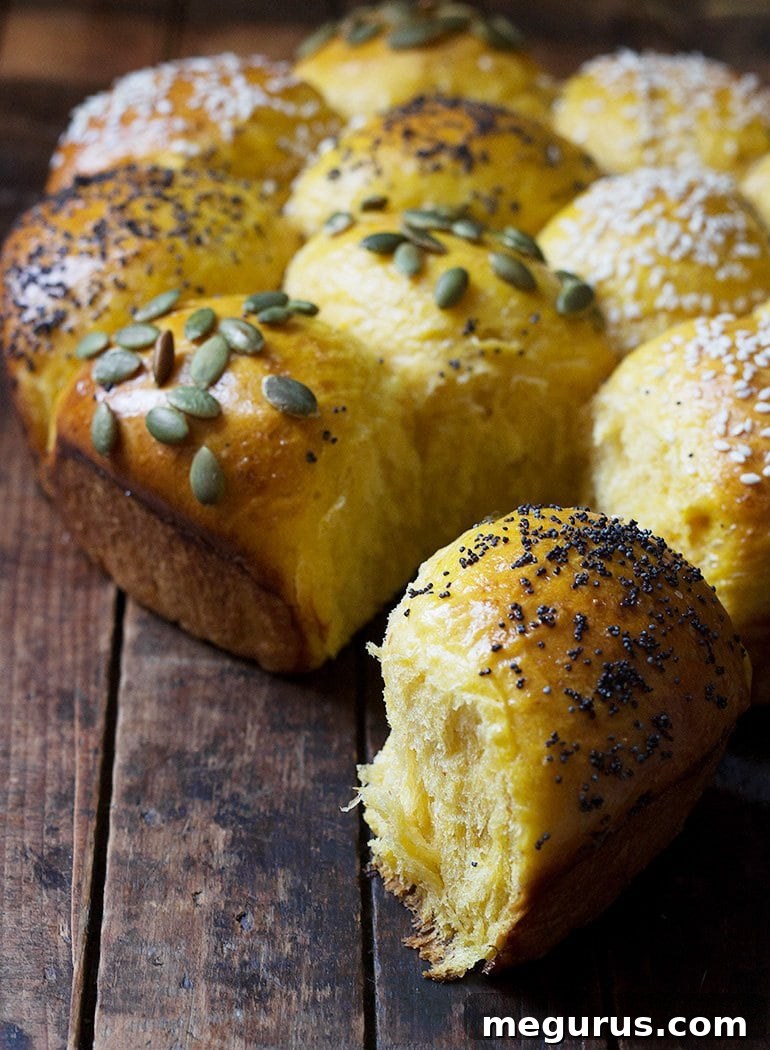A close-up of a single, perfectly golden Honey Pumpkin Dinner Roll, topped with various seeds.