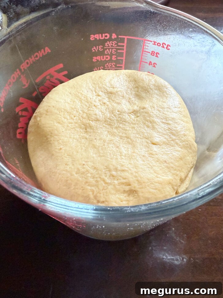 Formed dough ball added to a lightly greased bowl for its first rise.