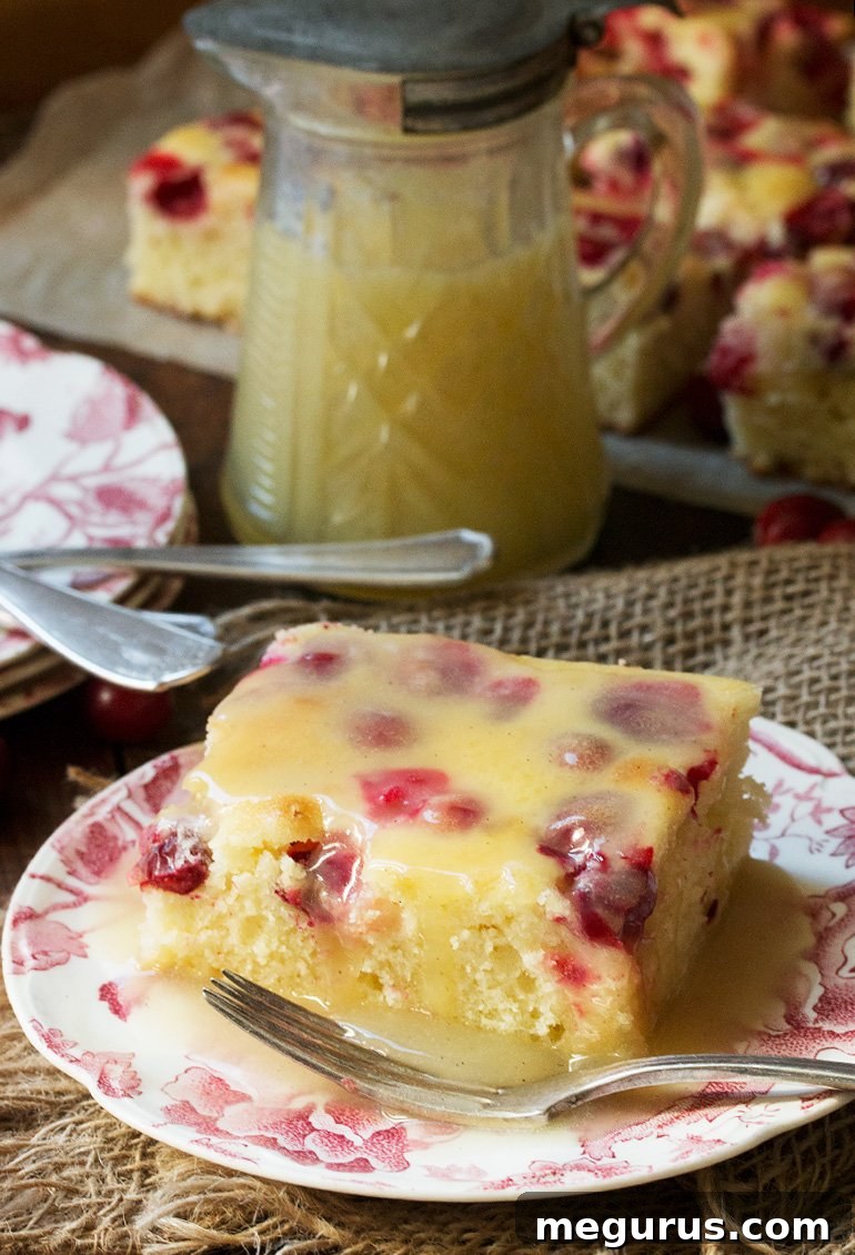 Close-up of Cranberry Cake with Vanilla Sauce drizzle