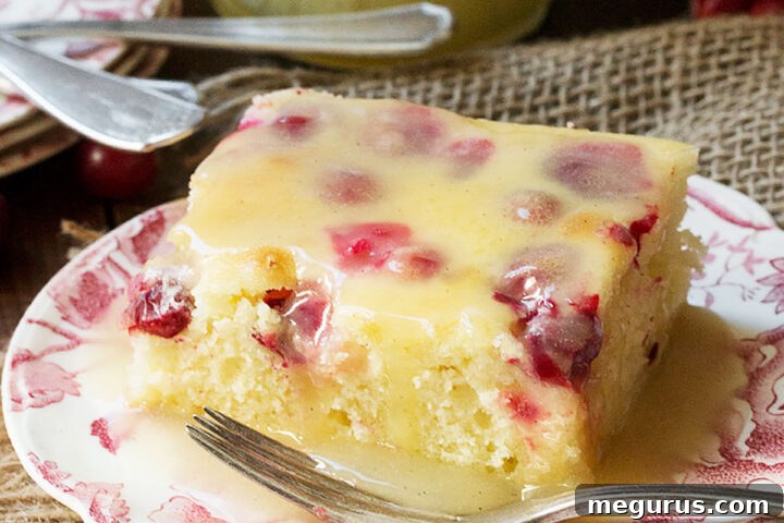 Delicious Cranberry Cake with Warm Vanilla Butter Sauce