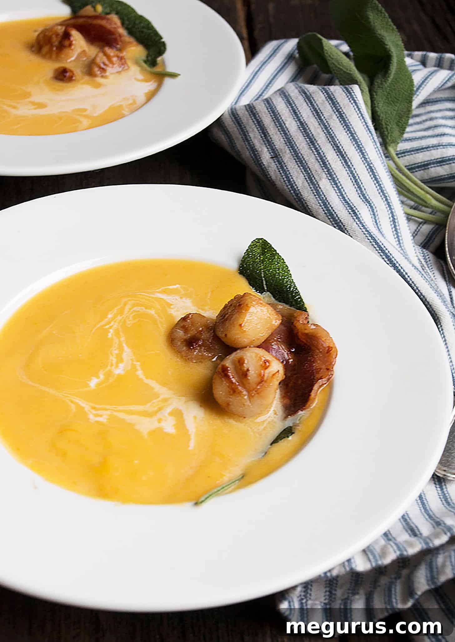 butternut squash soup with scallops and pancetta - a close up of the elegant garnish