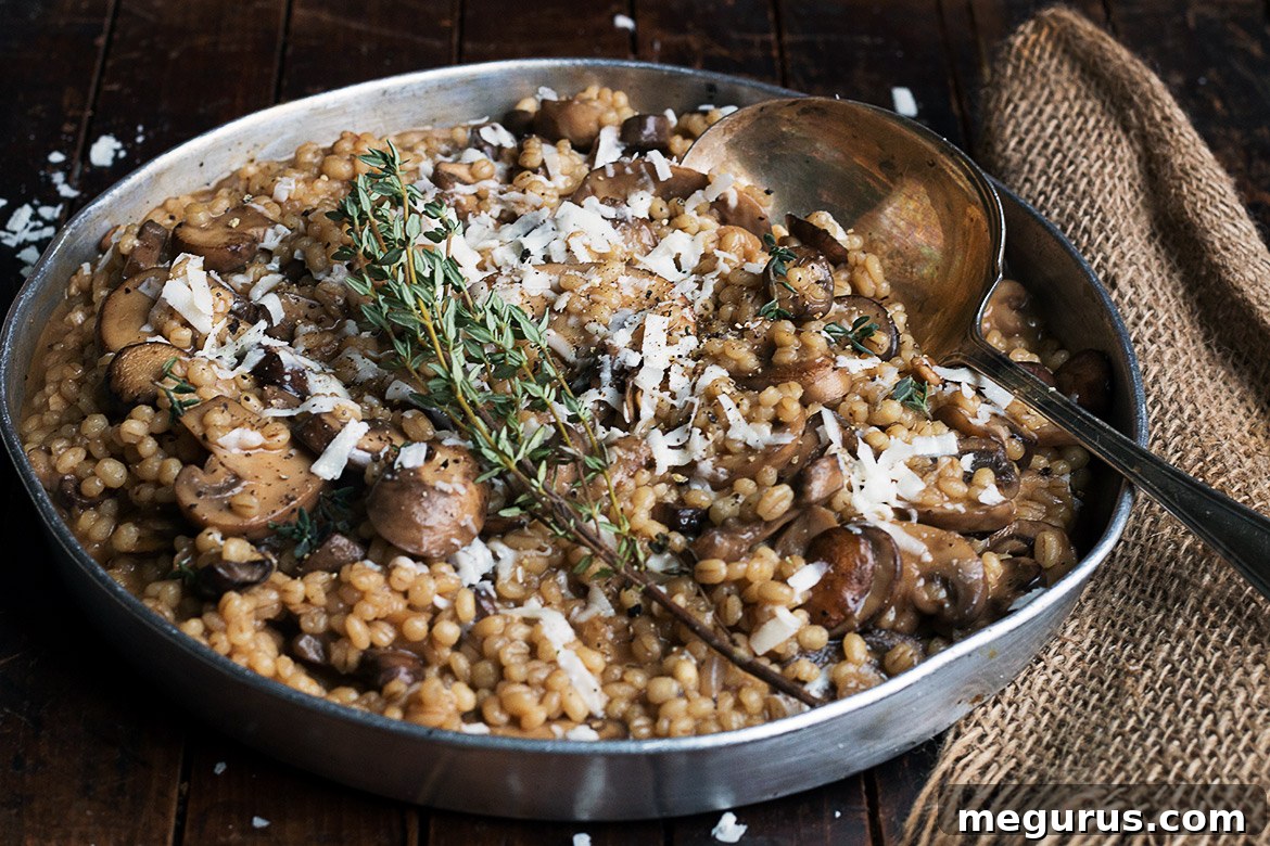 Close-up of creamy Mushroom Barley Risotto garnished with fresh herbs