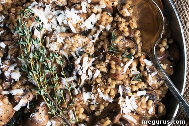 barley risotto with mushrooms in pan with spoon